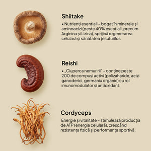 Immune Boost, Mix de ciuperci - echilibrează sistemul imunitar 100g
